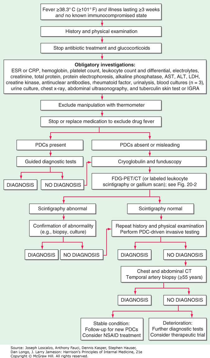 fuo_flowchart